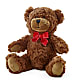 Adorable Plush Bear – Vons Pavilions, Pleasanton CA