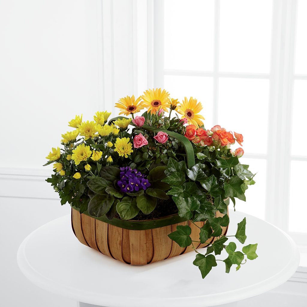 Gentle Blossoms Basket – Vons Pavilions, Pleasanton CA