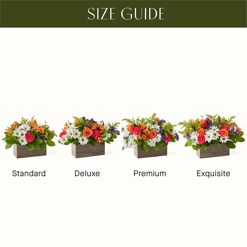 Oopsie Daisy Box Bouquet – Vons Pavilions, Pleasanton CA