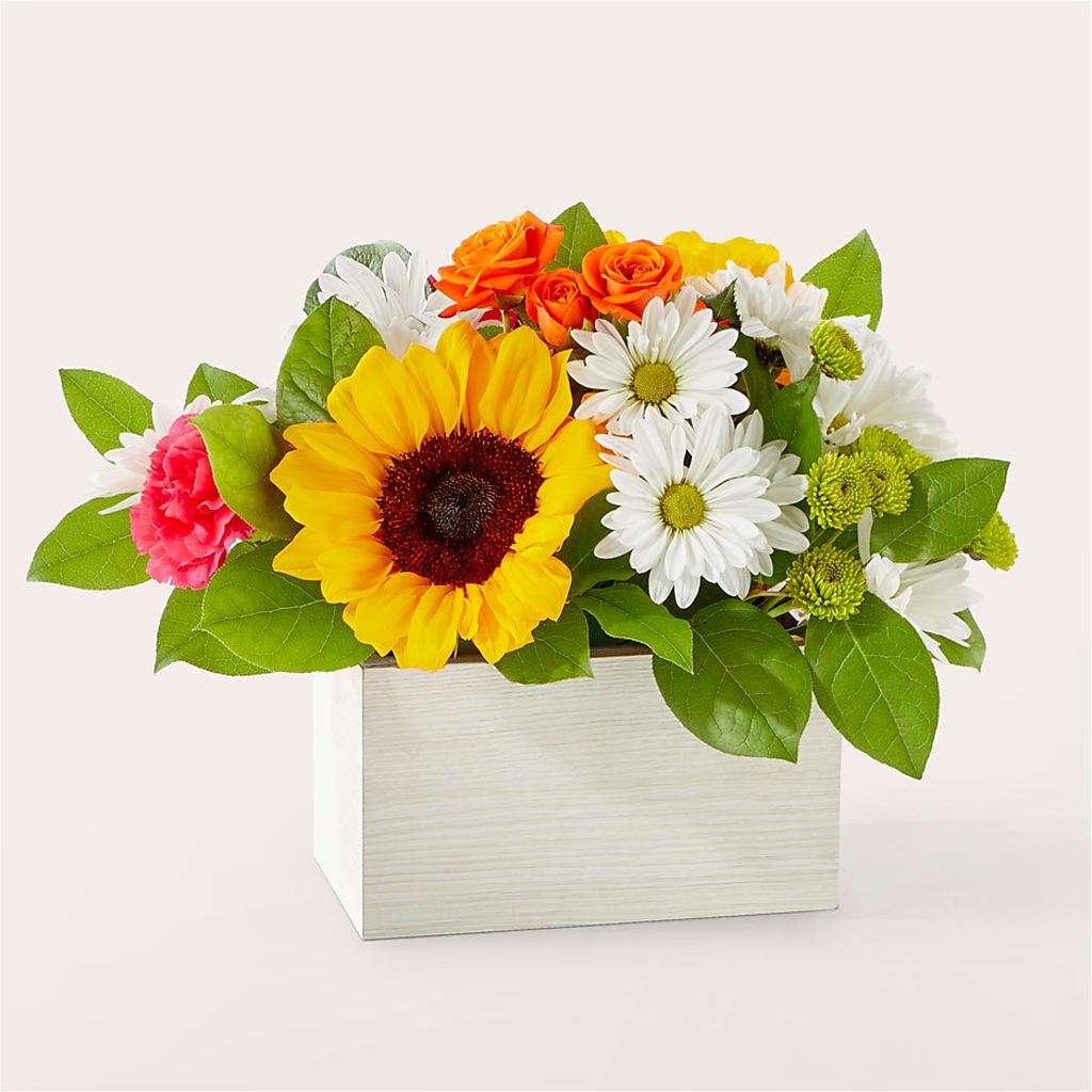 Sun-drenched Blooms Box Bouquet – Vons Pavilions, Pleasanton CA