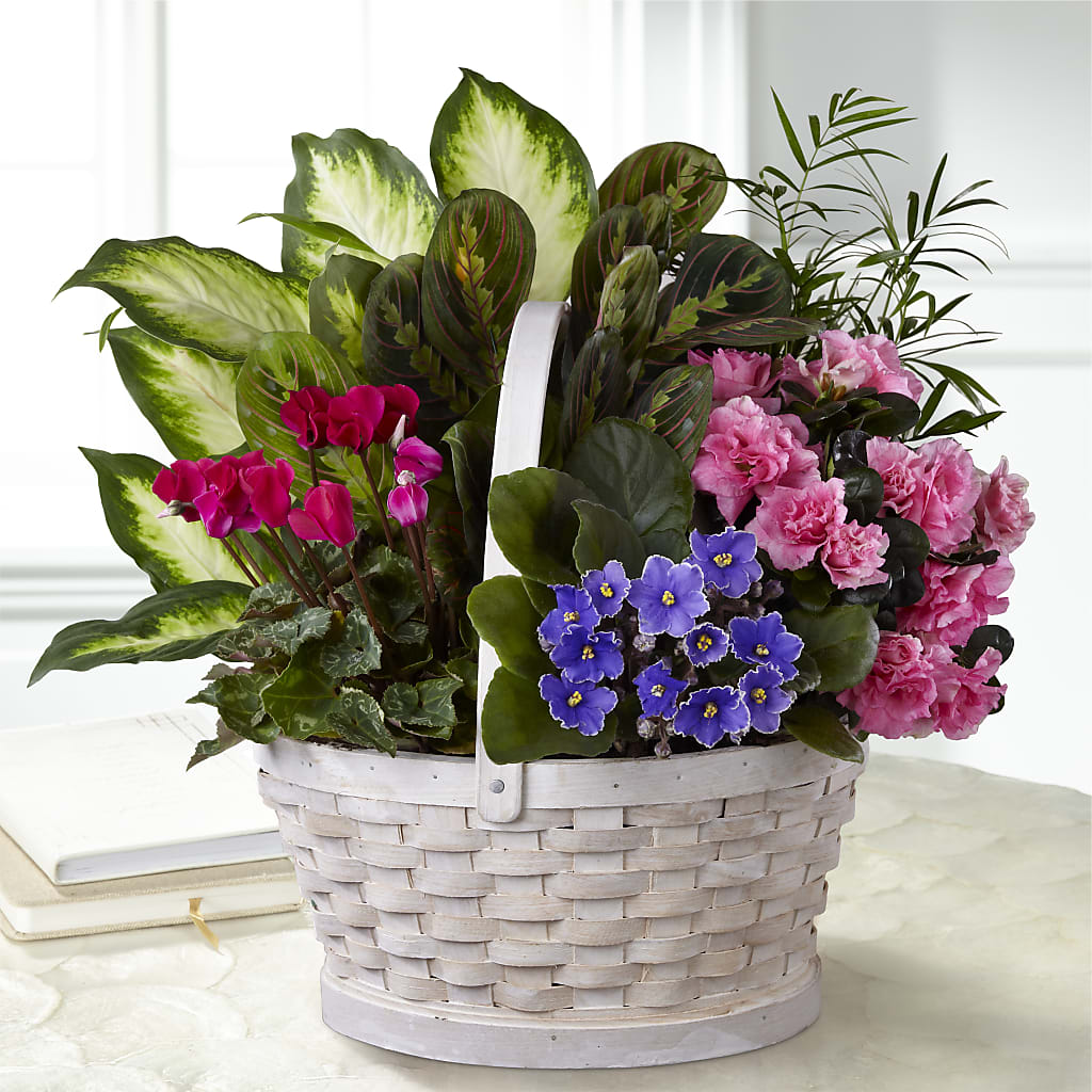 Peaceful Garden Planter – Vons Pavilions, Pleasanton CA