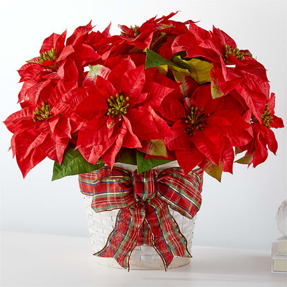 Happiest Holidays Poinsettia –  Vons Pavilions, Pleasanton CA