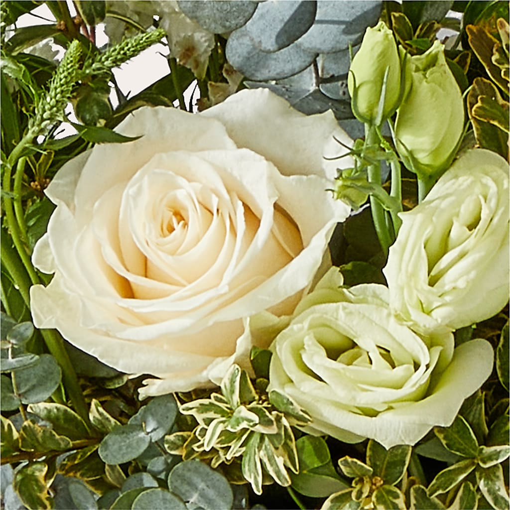 Cashmere Bouquet –  Vons Pavilions, Pleasanton CA