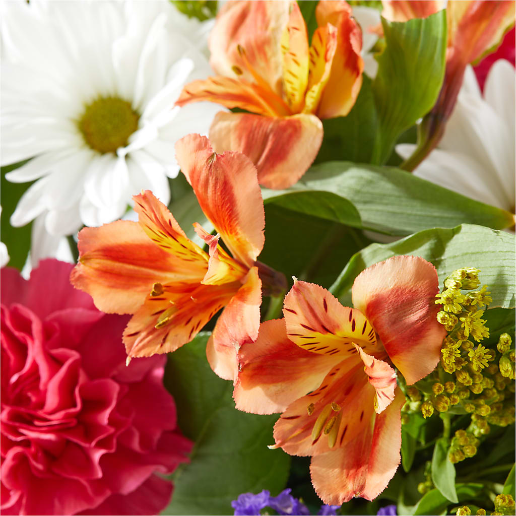 Oopsie Daisy Box Bouquet –  Vons Pavilions, Pleasanton CA