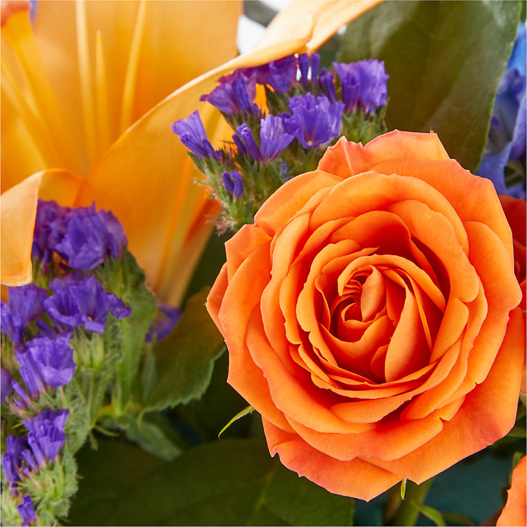 Radiant Citrus Box Bouquet –  Vons Pavilions, Pleasanton CA