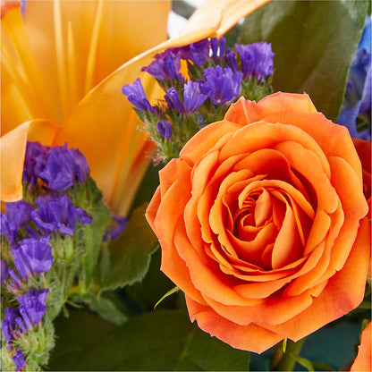 Radiant Citrus Box Bouquet –  Vons Pavilions, Pleasanton CA