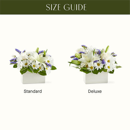 Beyond Blue Box Bouquet –  Vons Pavilions, Pleasanton CA