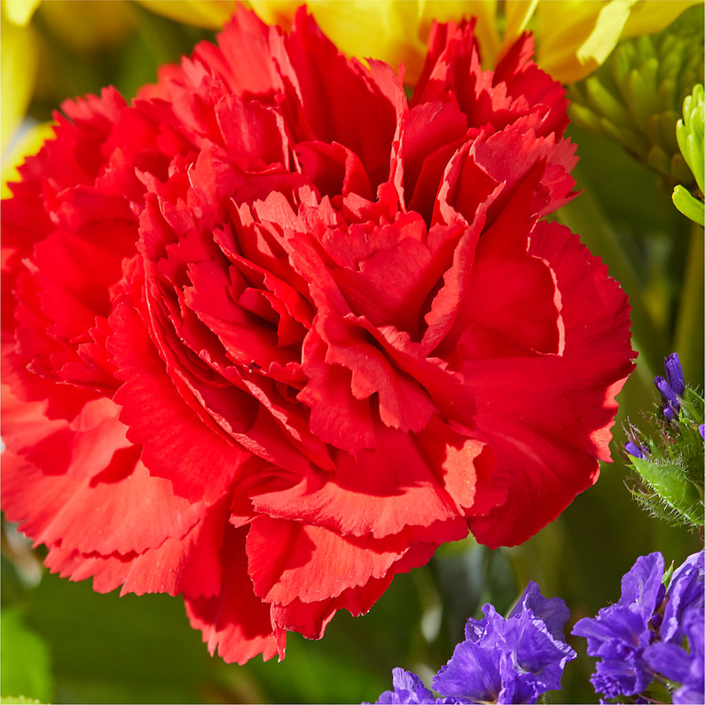 Brighter Days Bouquet –  Vons Pavilions, Pleasanton CA