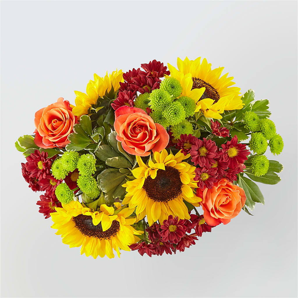 Happy Harvest Garden –  Vons Pavilions, Pleasanton CA