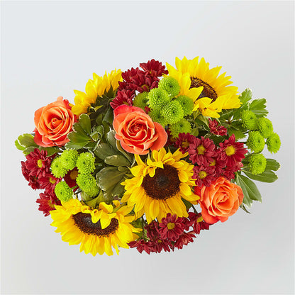 Happy Harvest Garden –  Vons Pavilions, Pleasanton CA