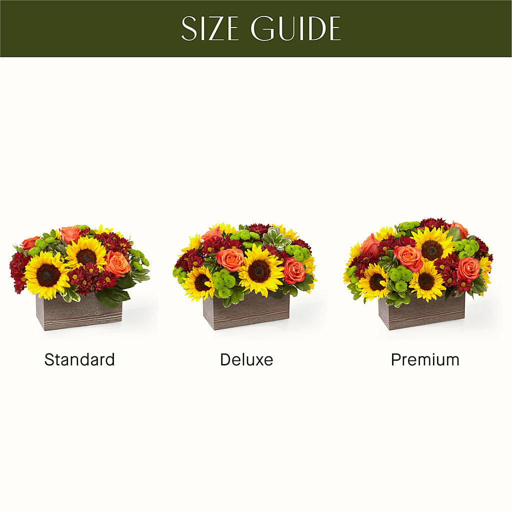 Happy Harvest Garden –  Vons Pavilions, Pleasanton CA