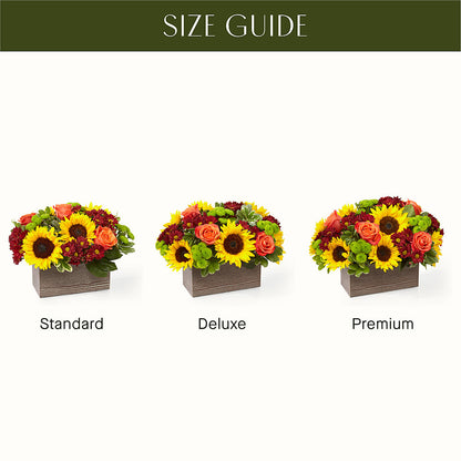 Happy Harvest Garden –  Vons Pavilions, Pleasanton CA