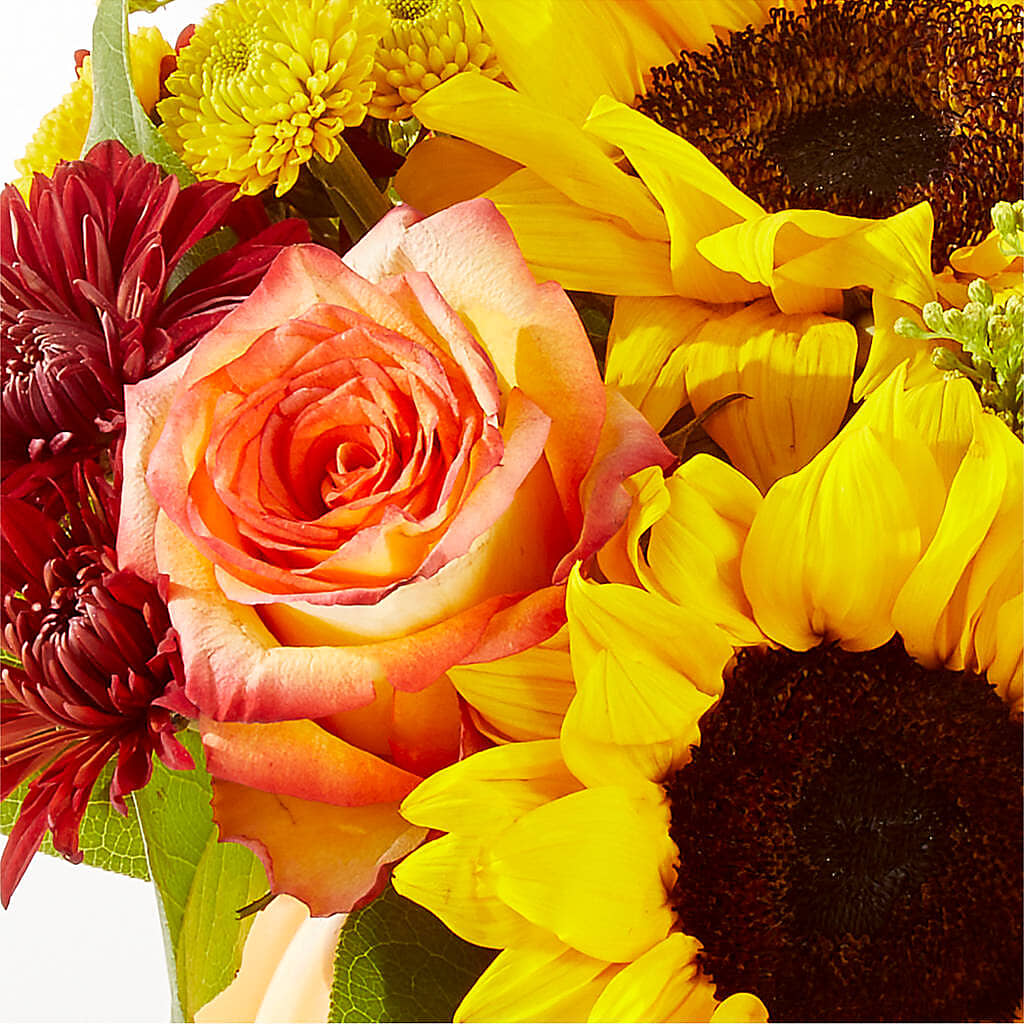 Golden Gourd Pumpkin Bouquet –  Vons Pavilions, Pleasanton CA