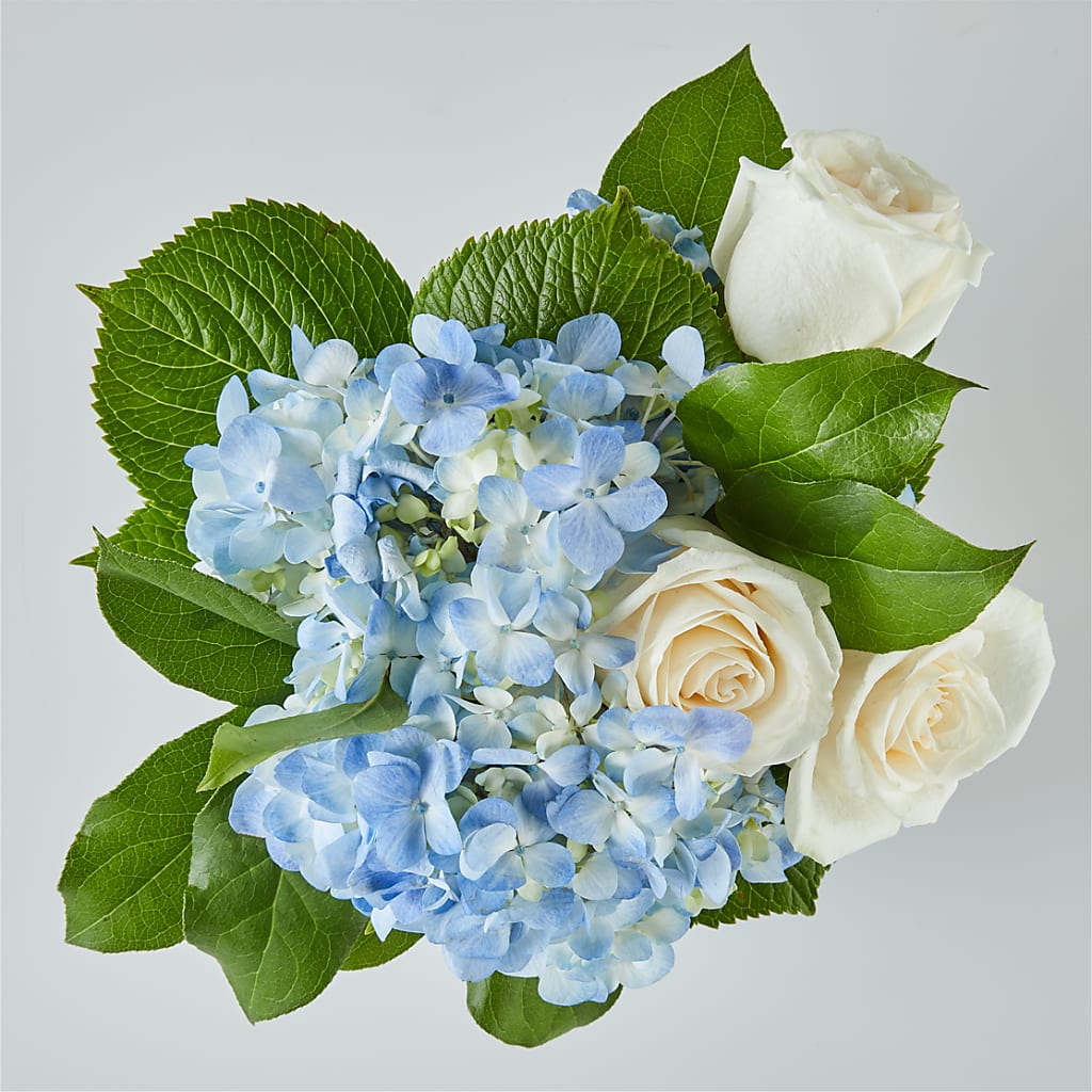 Sky Blue Delight Bouquet –  Vons Pavilions, Pleasanton CA