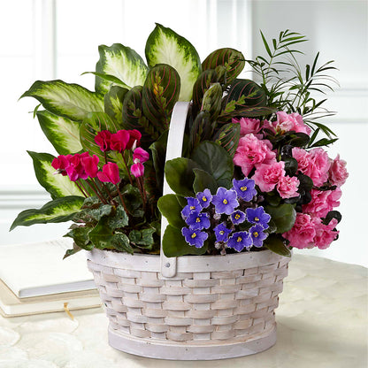 Peaceful Garden Planter –  Vons Pavilions, Pleasanton CA