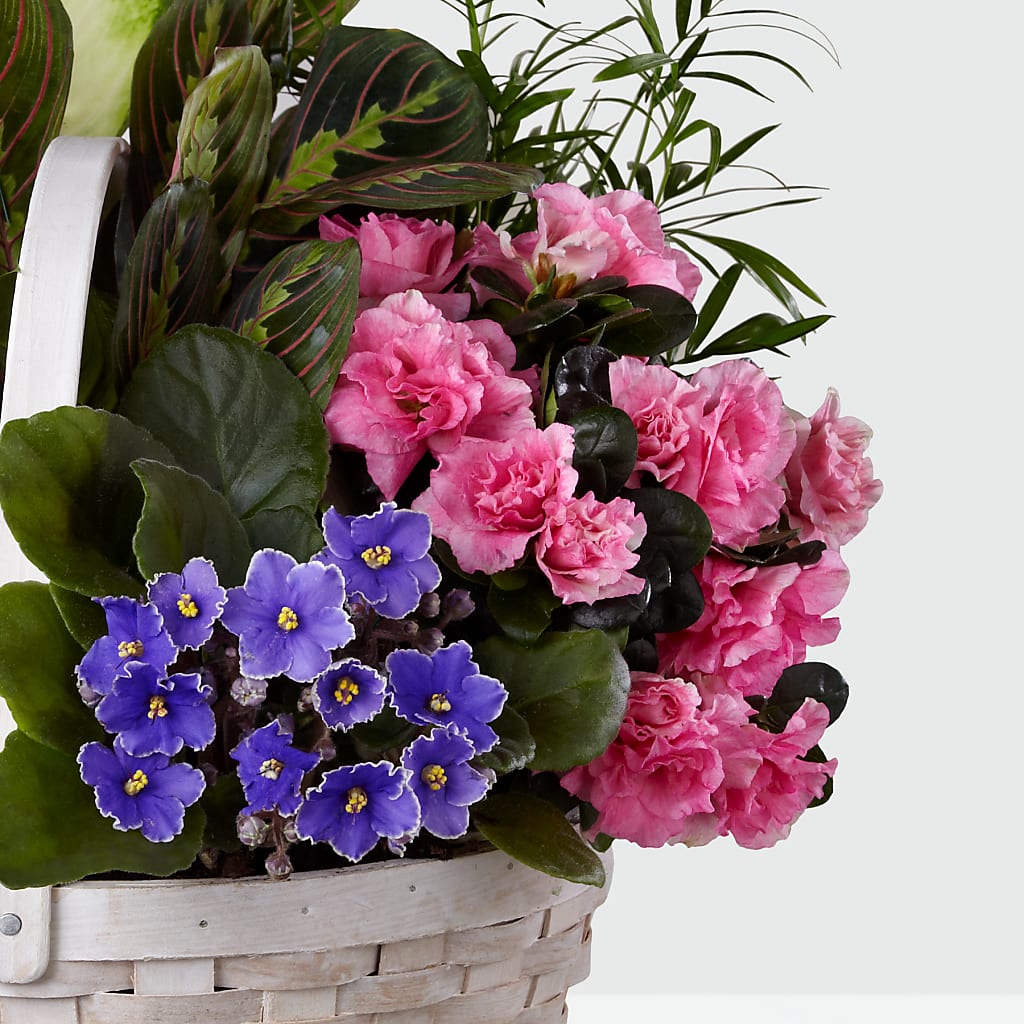 Peaceful Garden Planter –  Vons Pavilions, Pleasanton CA