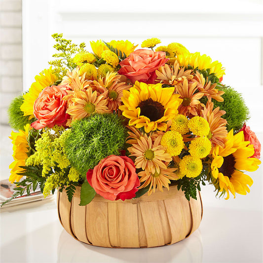 Harvest Sunflower Basket –  Vons Pavilions, Pleasanton CA