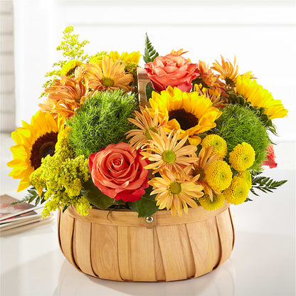 Harvest Sunflower Basket –  Vons Pavilions, Pleasanton CA