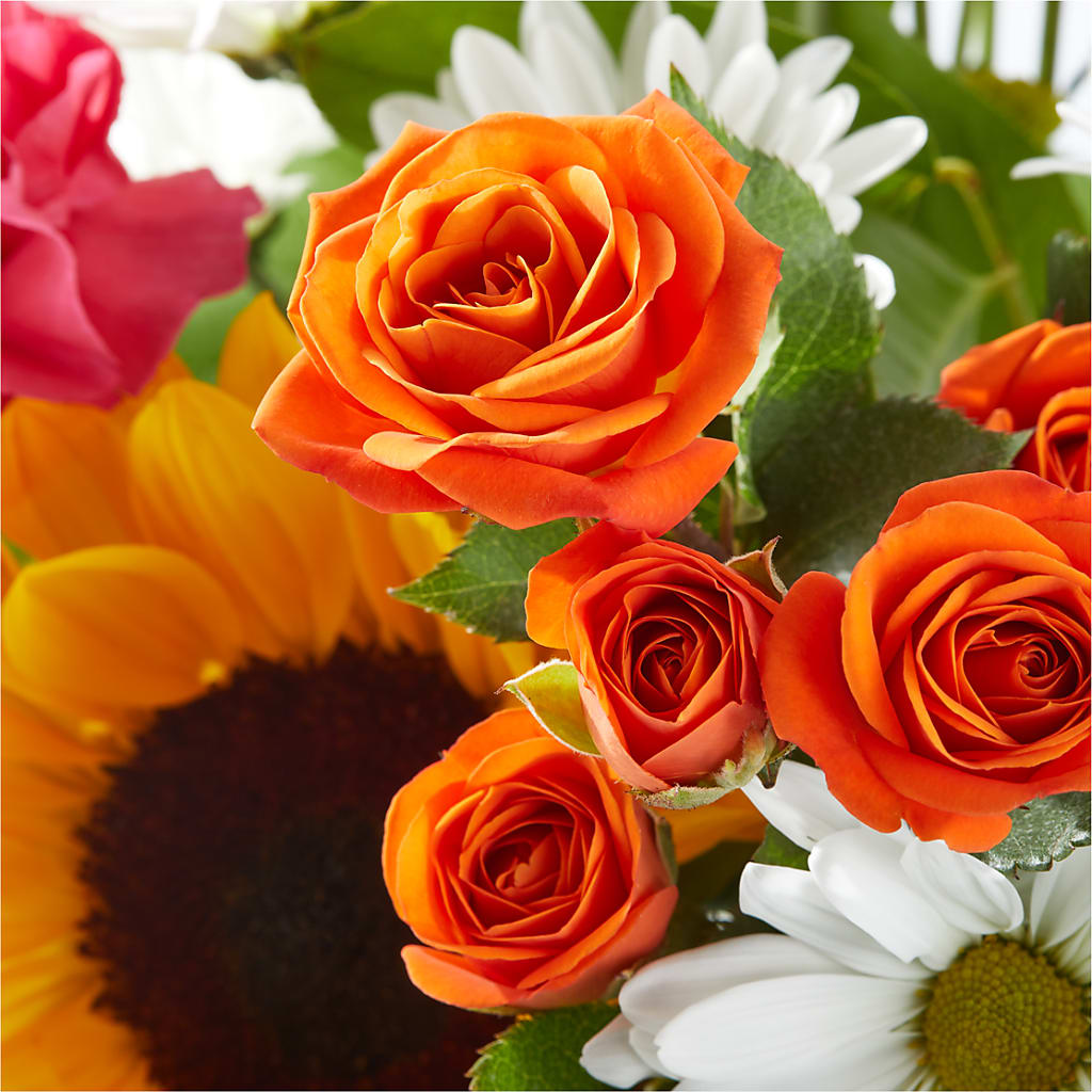 Sun-drenched Blooms Bouquet –  Vons Pavilions, Pleasanton CA