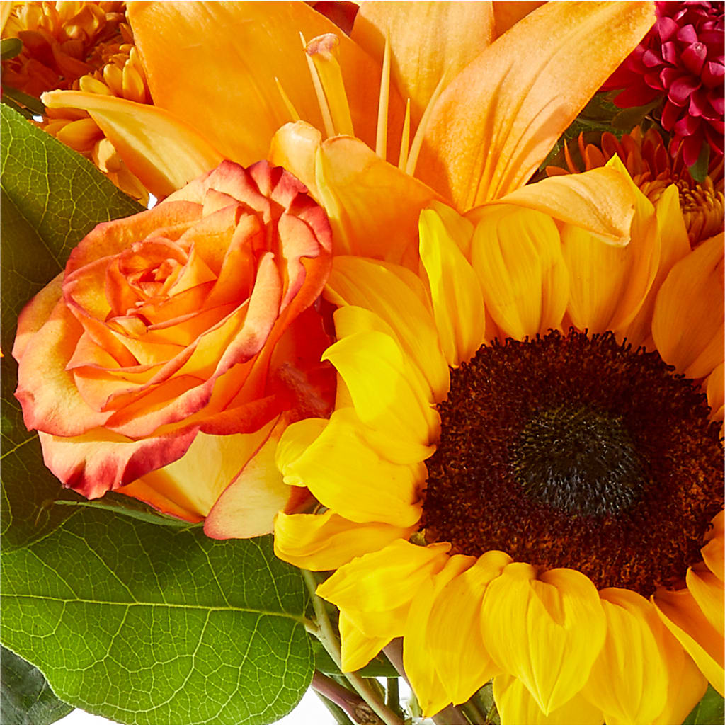 Fall Day Bouquet –  Vons Pavilions, Pleasanton CA