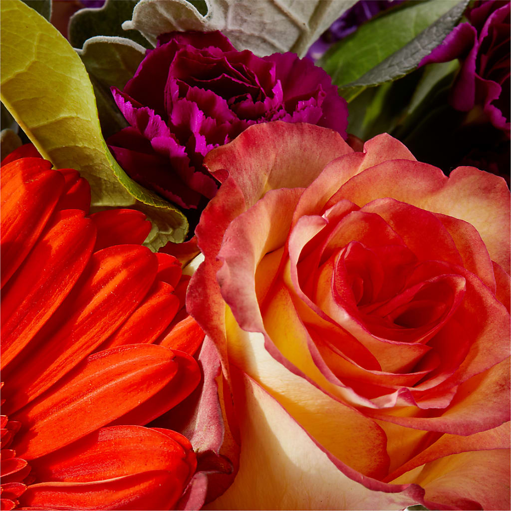 Sangria Bouquet –  Vons Pavilions, Pleasanton CA