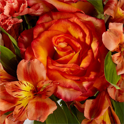 Apricot Glow Bouquet –  Vons Pavilions, Pleasanton CA