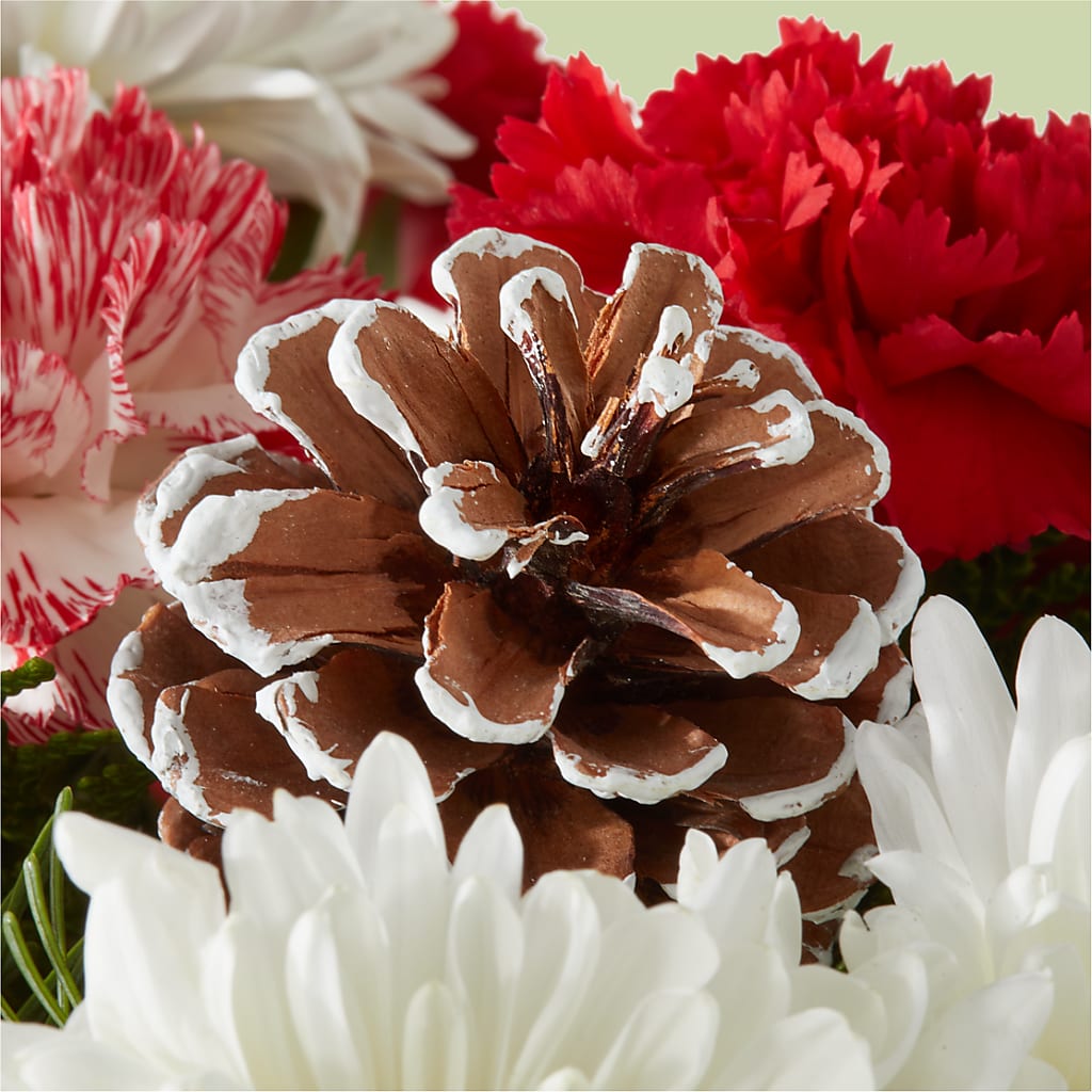 Candy Cane Lane Bouquet –  Vons Pavilions, Pleasanton CA