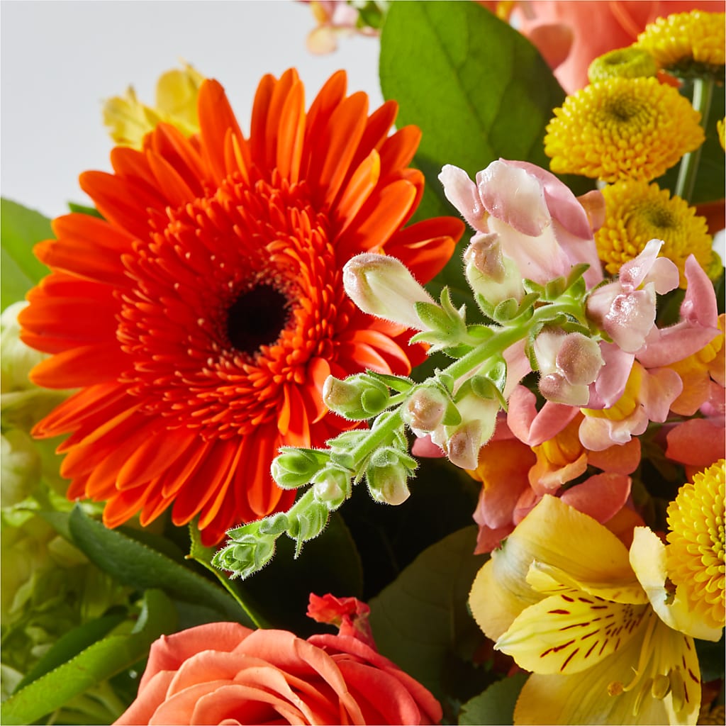 Autumn Sunshine Bouquet –  Vons Pavilions, Pleasanton CA