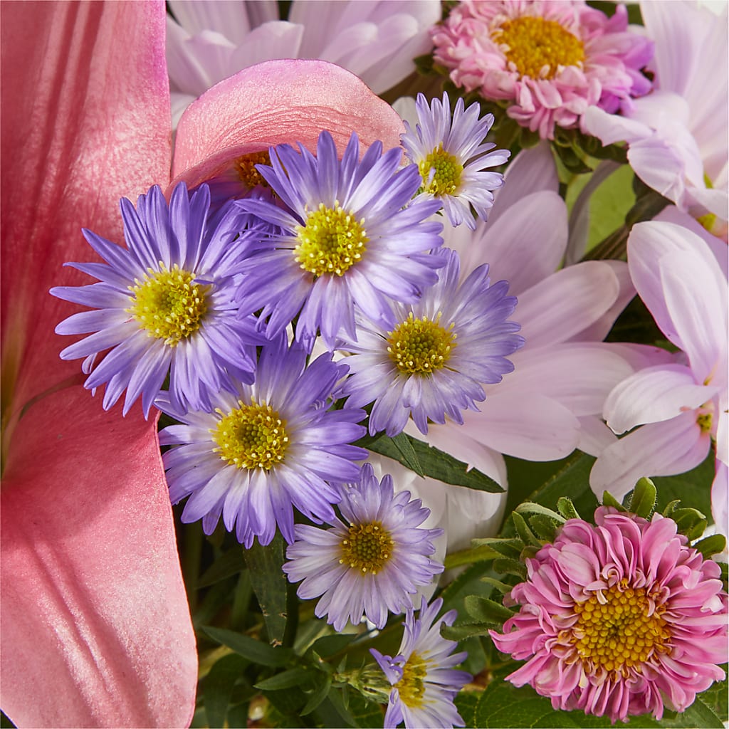 Pirouette Bouquet –  Vons Pavilions, Pleasanton CA