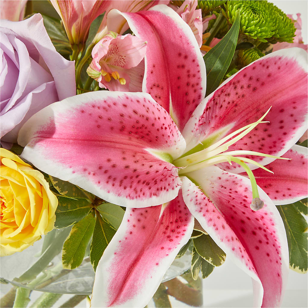 Serendipitous Blossoms Bouquet –  Vons Pavilions, Pleasanton CA
