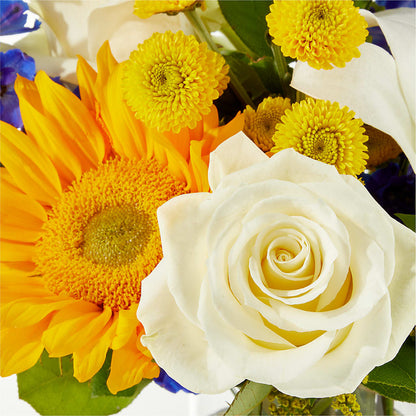 Stargazing Bouquet –  Vons Pavilions, Pleasanton CA