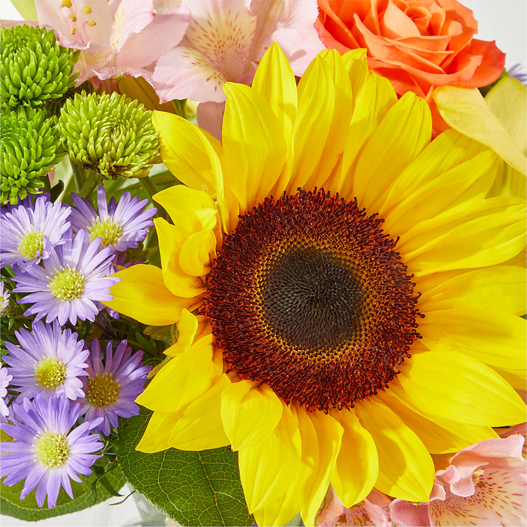 Basking in the Glow Bouquet –  Vons Pavilions, Pleasanton CA