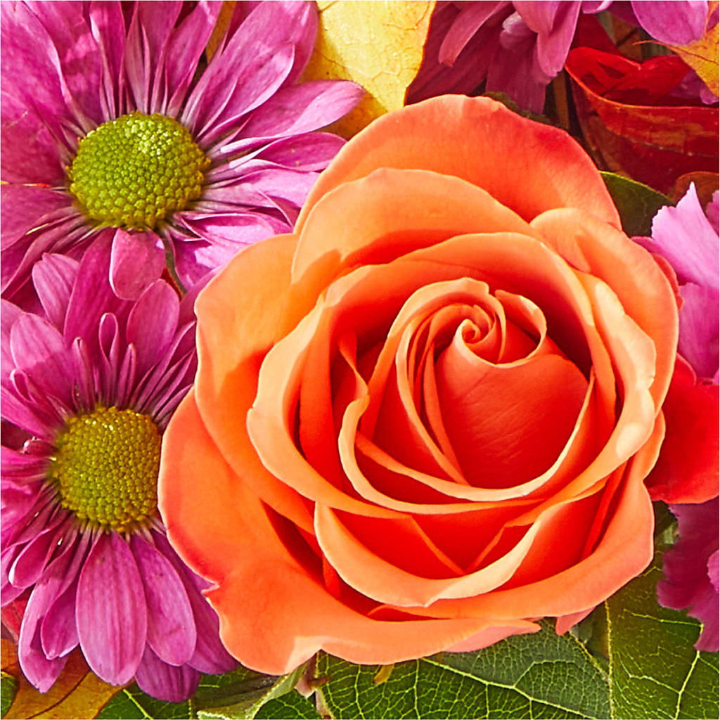 Mum's the Word Bouquet –  Vons Pavilions, Pleasanton CA