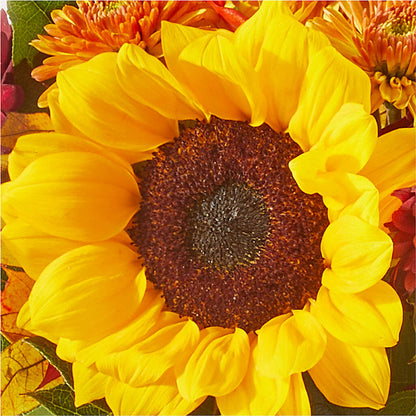 Sunny Side Bouquet –  Vons Pavilions, Pleasanton CA