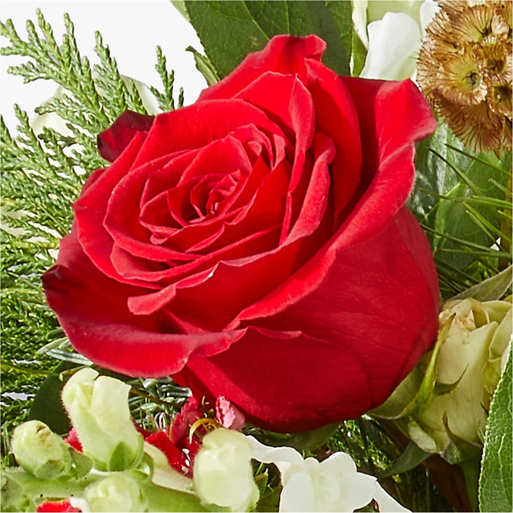 Deck the Halls Bouquet –  Vons Pavilions, Pleasanton CA