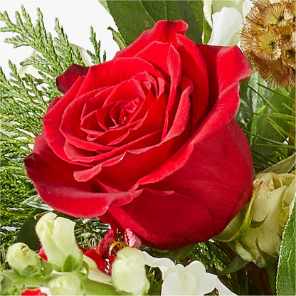 Deck the Halls Bouquet –  Vons Pavilions, Pleasanton CA