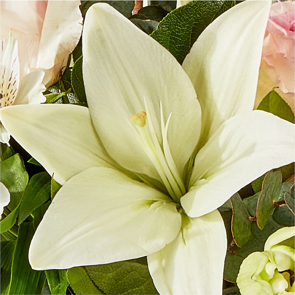 Ballet Slippers Bouquet –  Vons Pavilions, Pleasanton CA