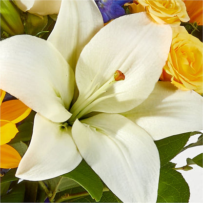Wonderfully Sunny Bouquet –  Vons Pavilions, Pleasanton CA