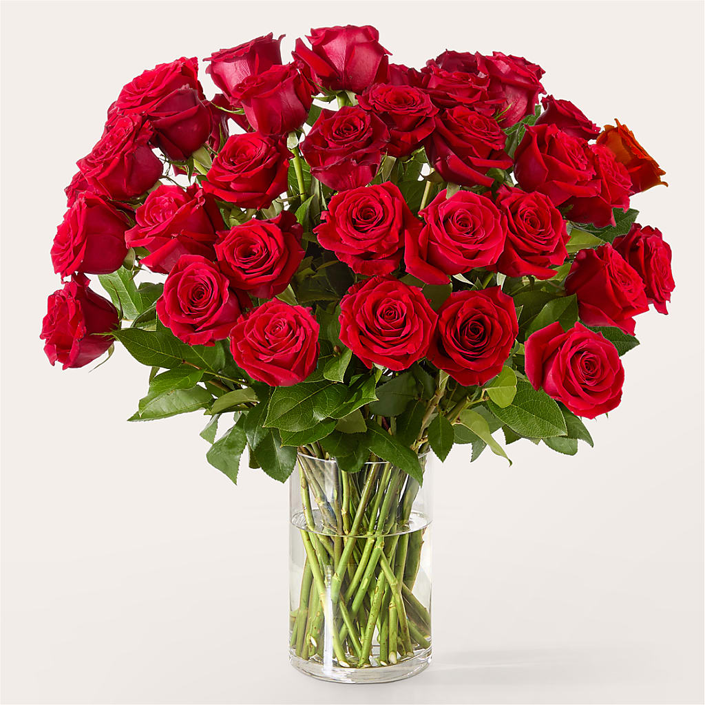The One Red Rose Bouquet –  Vons Pavilions, Pleasanton CA