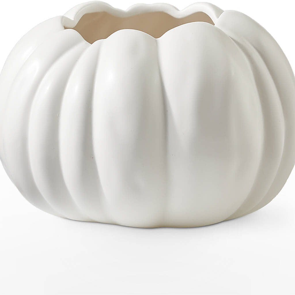 Pumpkin to Talk About Bouquet –  Vons Pavilions, Pleasanton CA
